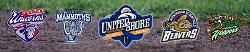 Buy United Shore Professional Baseball League Tickets